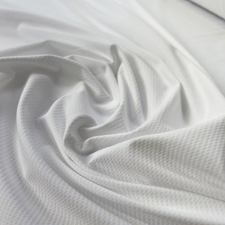 Cotton Jersey