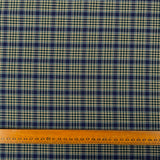 Green & Blue Cotton Check Shirting Fabric Clarkson's Check Ruler
