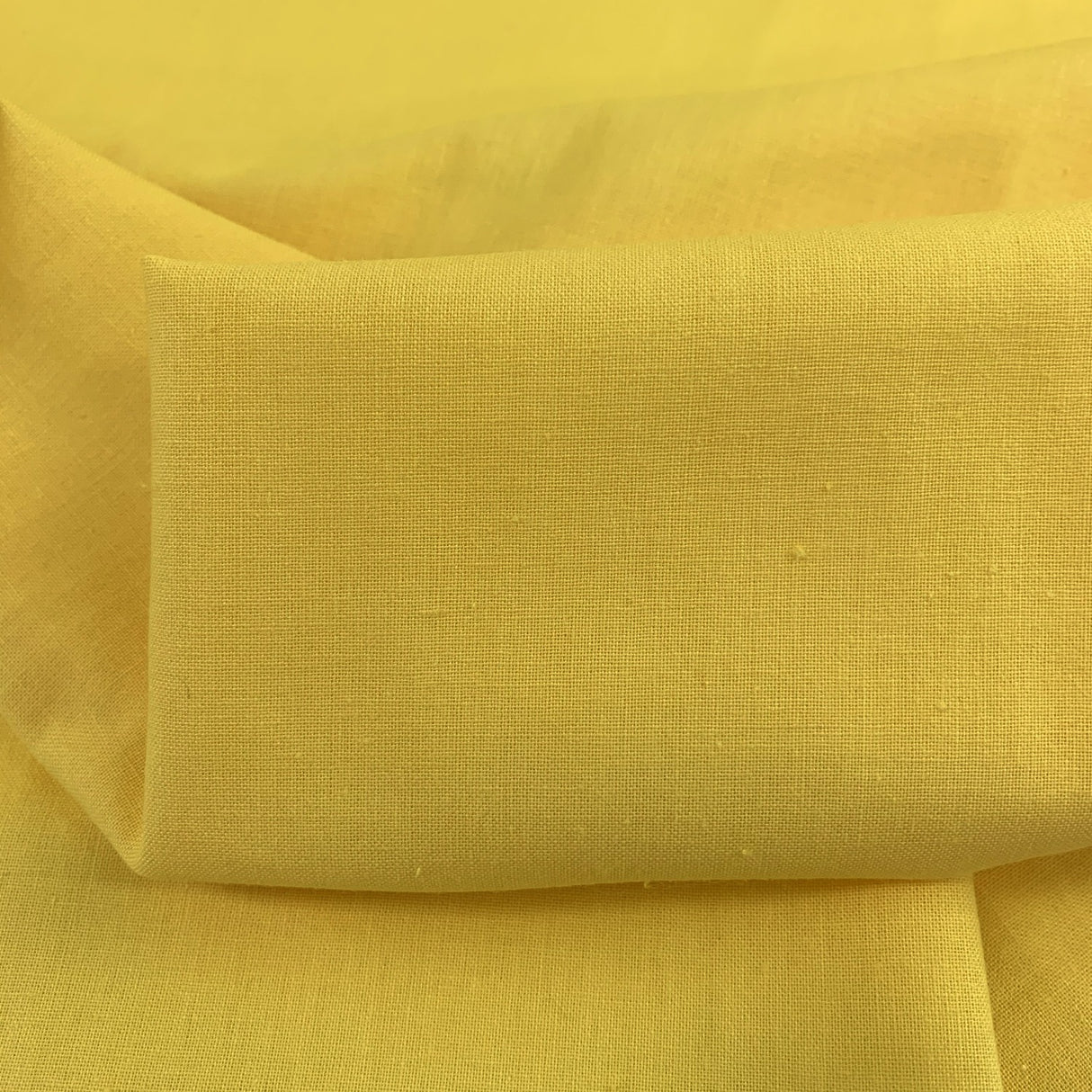 Canary Folded