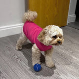 Customer Make By Jenni At Simply Dancing Partners Sweatshirt Cerise Dog Coat January 2024