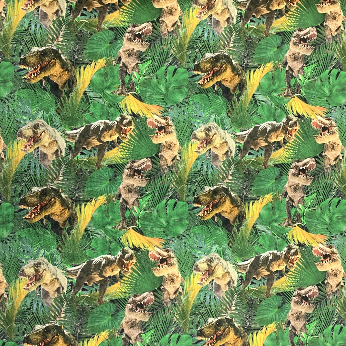 Digitally Printed French Terry Jersey Dino Vally Pattern