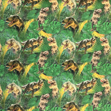 Digitally Printed French Terry Jersey Dino Vally Pattern