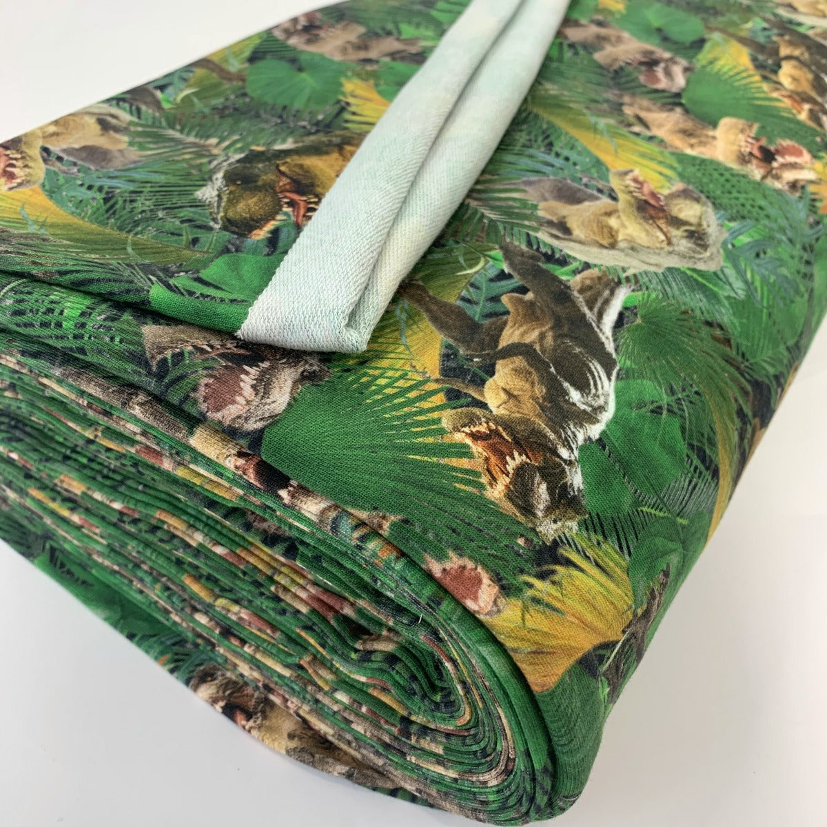 Digitally Printed French Terry Jersey Dino Vally Roll
