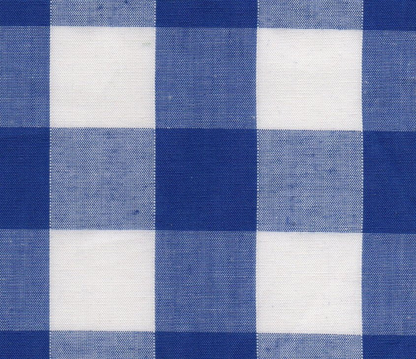 Gingham Blue 2