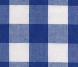 Gingham Blue 2