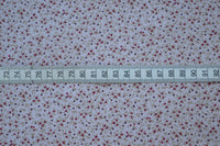 Gypsophila - Dove Grey