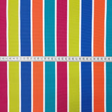 Luxe Water Resistant Canvas Pop Art Water Resistant Striped Multicoloured Canvas Fabric Scale Fabric Photo