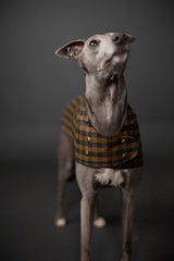 Merchant Mills The Barka Dog Coat Pattern 2