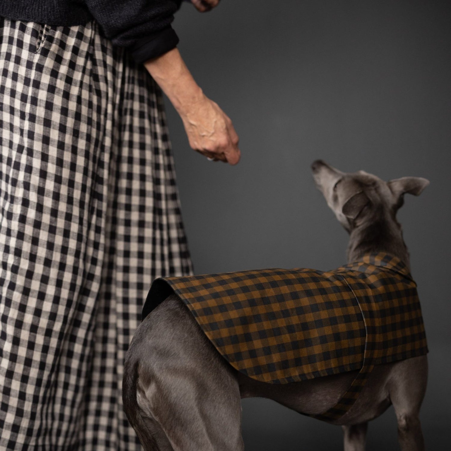 Merchant Mills The Barka Dog Coat Pattern 3