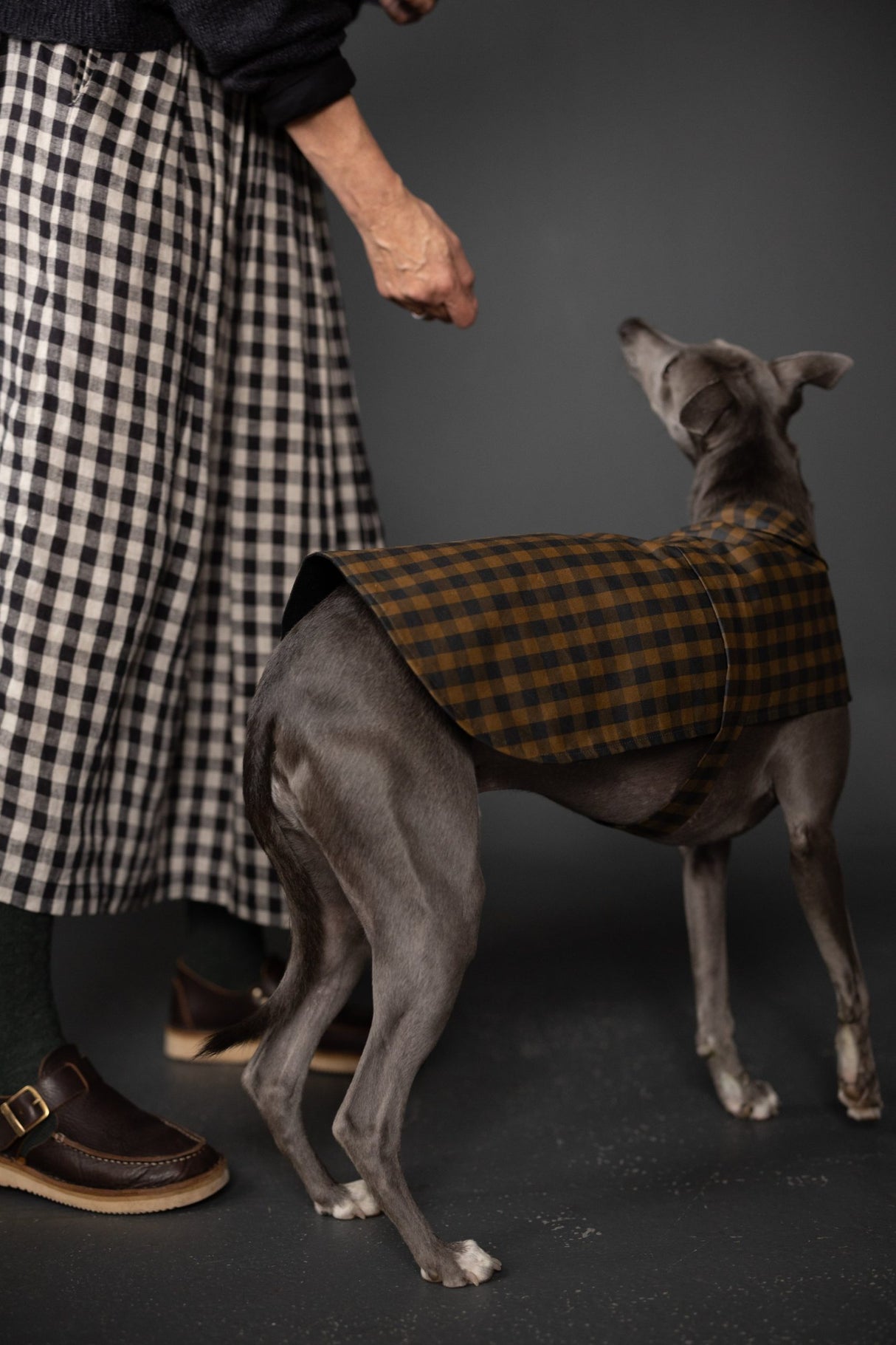 Merchant Mills The Barka Dog Coat Pattern 3