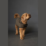 Merchant Mills The Barka Dog Coat Pattern Cover