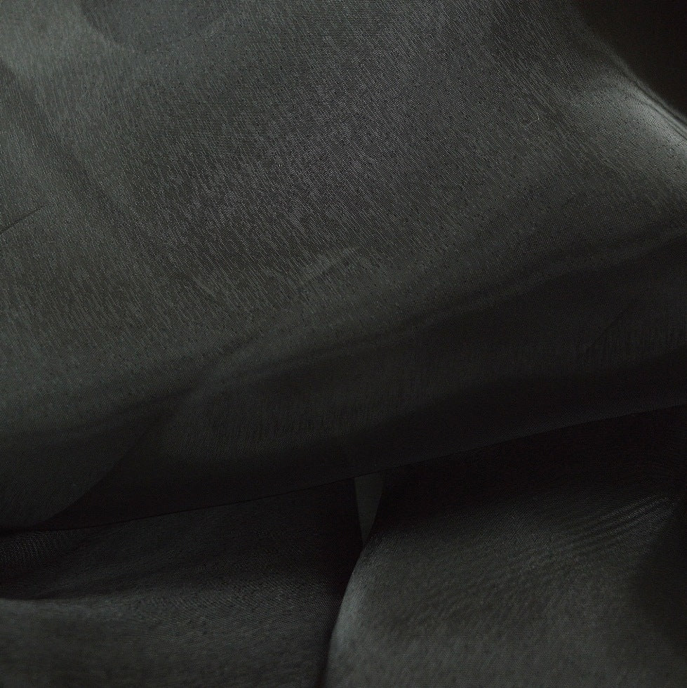 Nothing To Hide Black Sheer Polyester Organza Fabric Cud