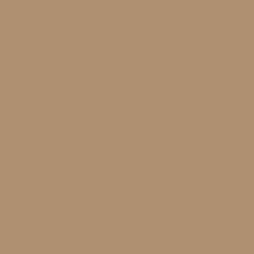 Polyester Anti Static Dress Linings Chamois 0815