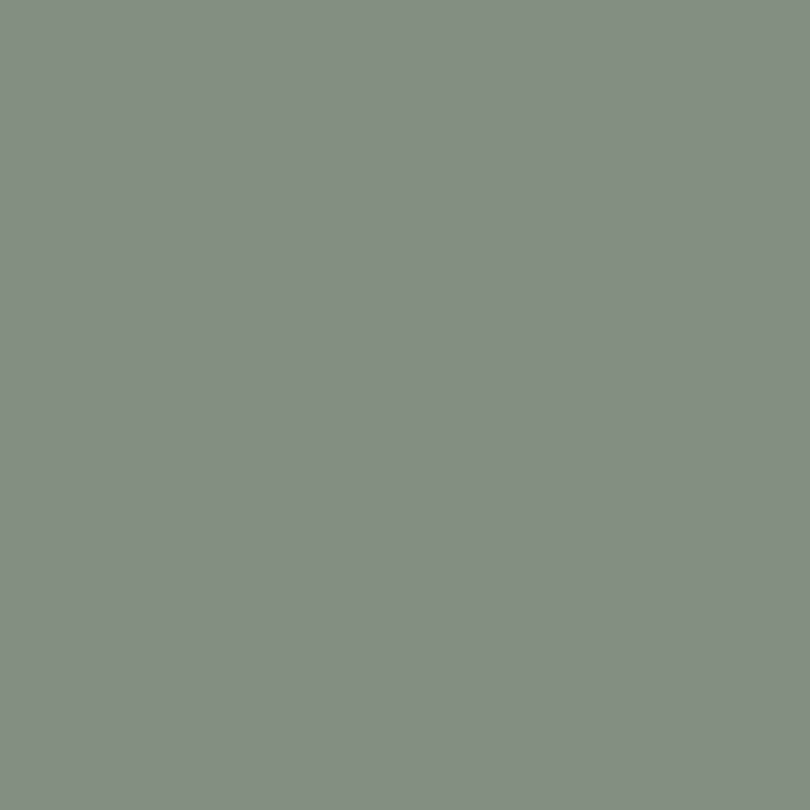 Polyester Anti Static Dress Linings Light Sage 0053