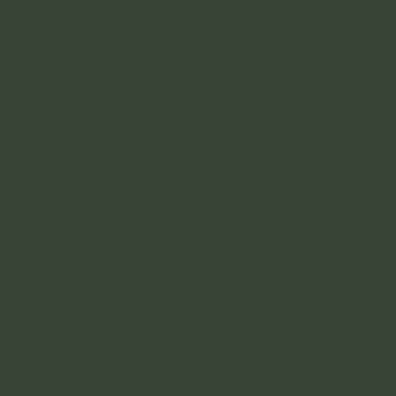 Polyester Anti Static Dress Linings Moss 0717