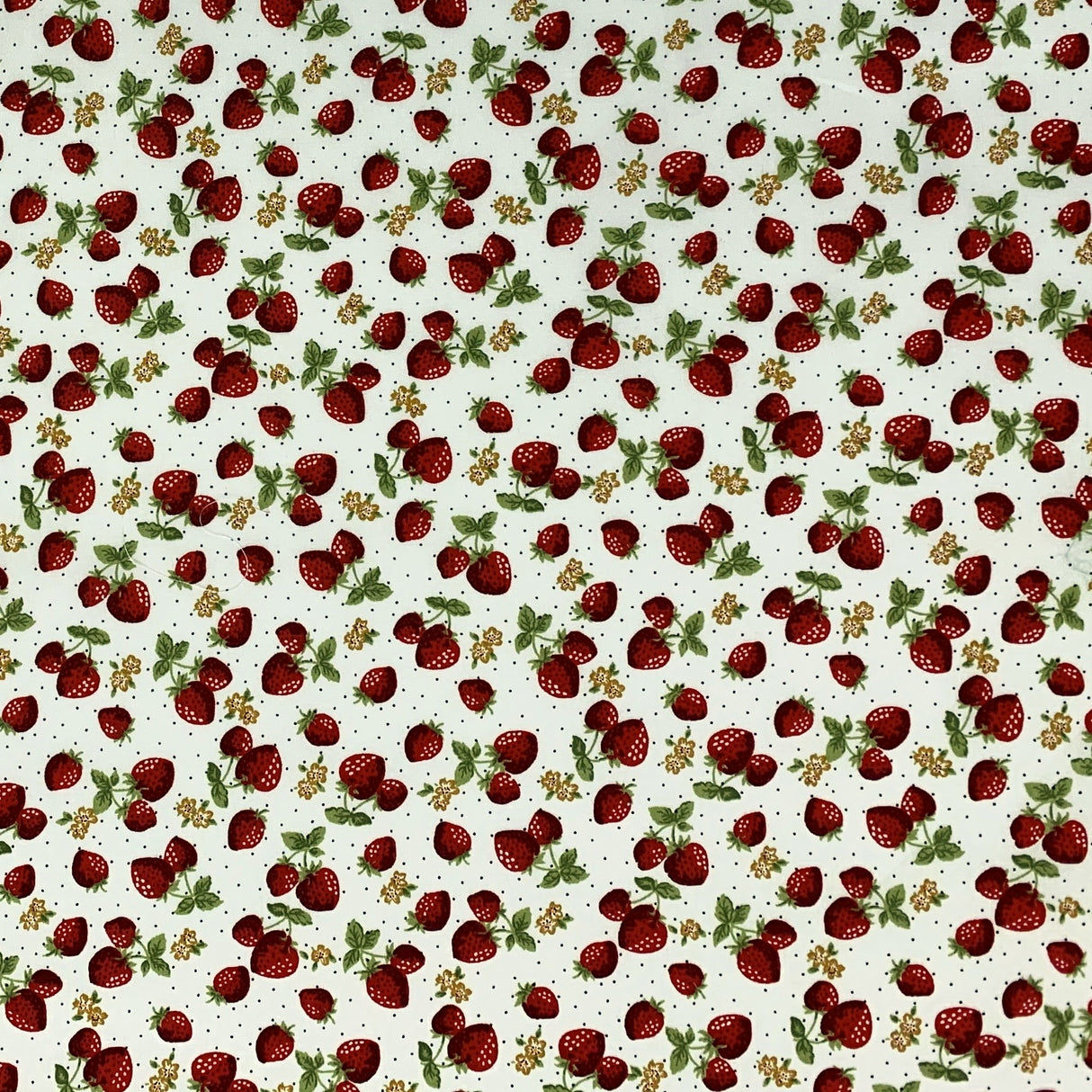 Poplin Prints Strawberry Pie Ivory Pattern