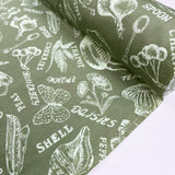Poplin Styles Souveniers Sage Green Abstract Shell Print Cotton Dress Fabric Roll