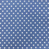 Poplin Print - Wat Spot - Pale Blue