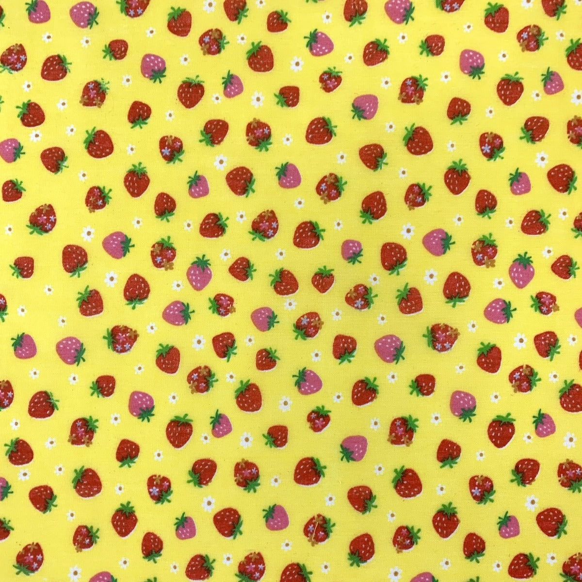Pretty Polly Strawberries And Daisies Pattern
