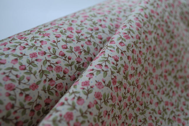 Pretty Prints Rose