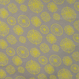 Qjutie Cotton Elastane Green Printed Jersey Fabric Compass K10353 270