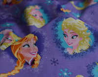 Remnant - Springs Creative - Frozen Heart Framed Sisters (0.5m)