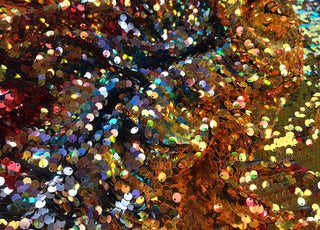 Tiggy Polyester Net Sequin Multicoloured Black Heavy Dress Fabric