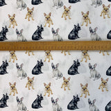 True Craft French Bulldogs John Louden Korean Crafting Fabric White Dogs Scale