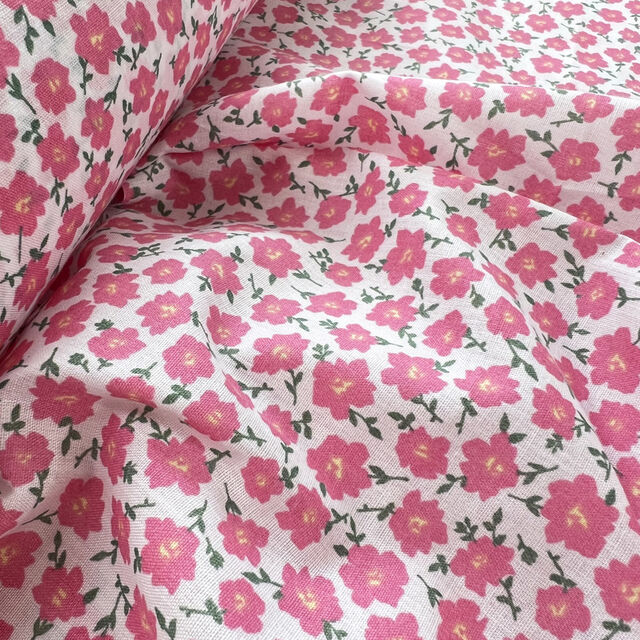 Pretty Polly - Pink Clematis