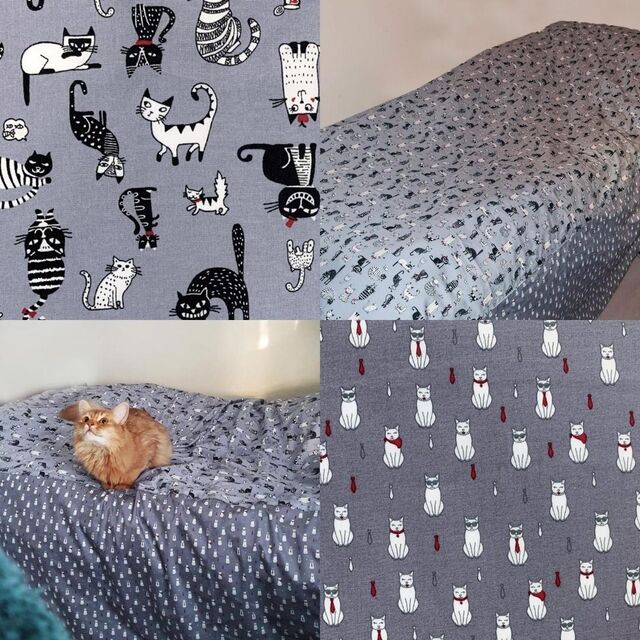 Teresa Poplin Prints Cats and Formal Feline