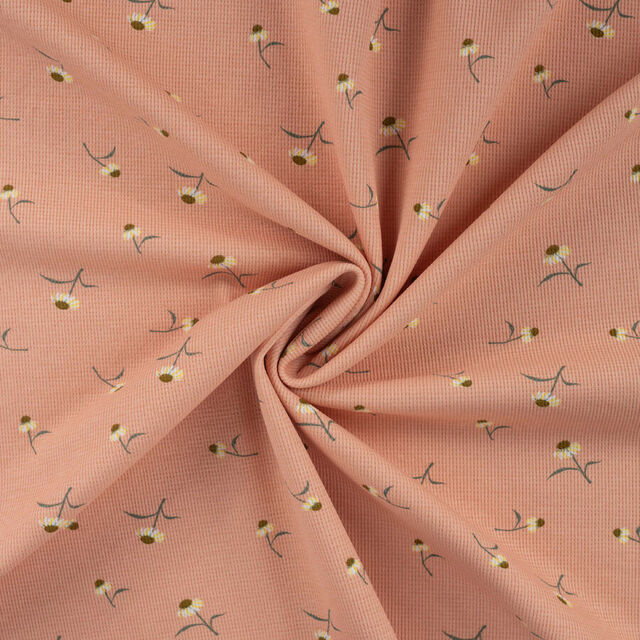 Qjutie - Waffle - Daisy